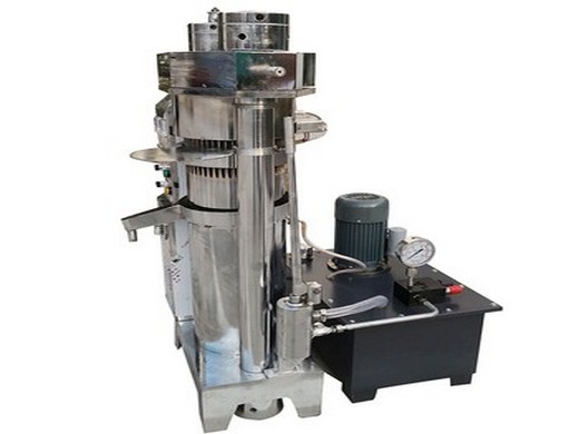 manufacture hydraulic peanut oil press machine low cost price