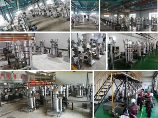 new hydraulic oil press production line for sesame peanut walnut