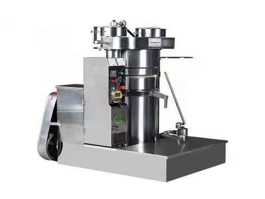 6yy series big sesame hydraulic oil press machine in Russia