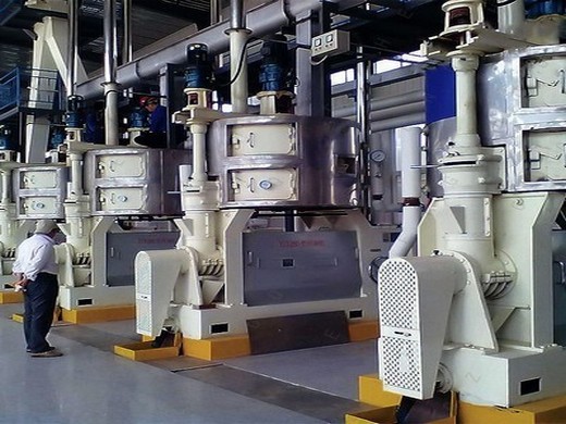 red palm oil manufacturing process machinery/manufacturers