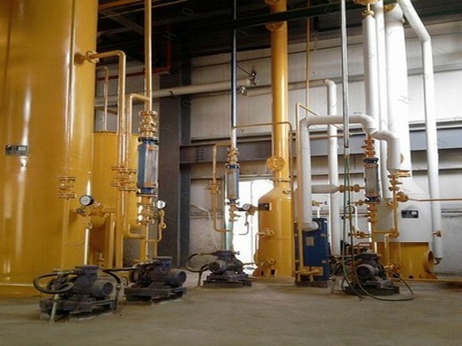 6yz-180 sesame oil press production line big for africa in Uzbekista