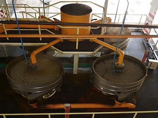 cgoldenwall automatic oil press machine in South Africa