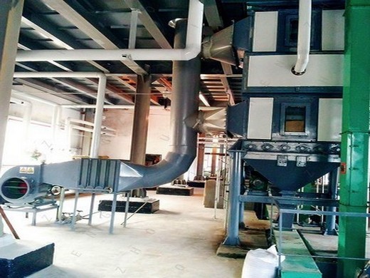 palm kernel oil mill machine professional palm oil in Nigeria