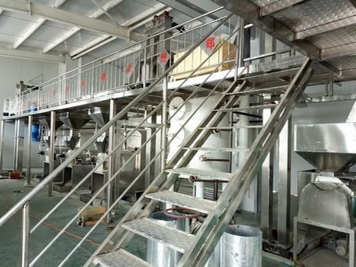 0.5-2tph rice bran oil processing plant issuu in Pakistan