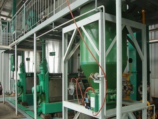 new type big black seeds sesame oil press production line