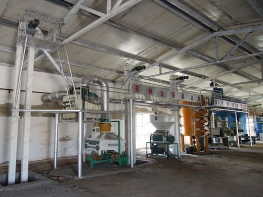 2020 new design China sesame oil making machine price soybean oil