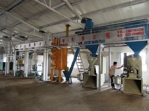 groundnut oil press machine cottonseed oil press machine hot