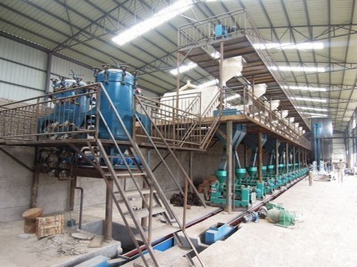 1-3tpd rapeseed oil production line in philippines