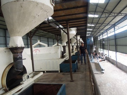 150-300kg h oil cold press machine sesame oil extraction in Ethiopia