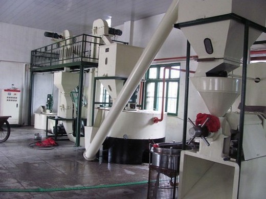 wide application cooking oil processing machine for basil