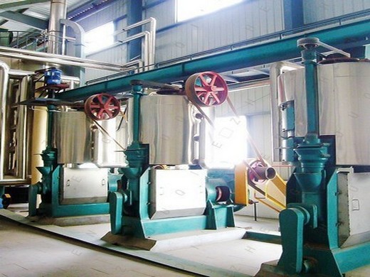 big solvent extraction plant big rice bran oil mill in Kenya