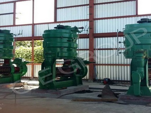 palm oil expeller – palm oil mill machine leading in Somalia