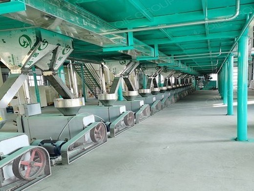 China factory supply peanut oil extraction machine peanut