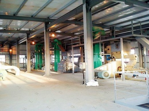 peanut oil pressing and extraction plant in Nigeria