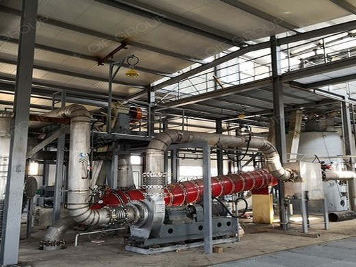 0.5-5t h dry copra coconut oil machines in Tanzania