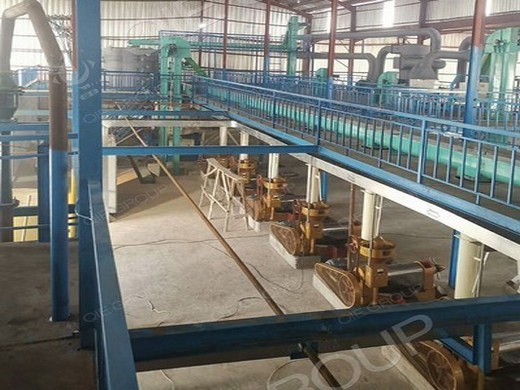 oil press production line cold press oil extractor in Turkey