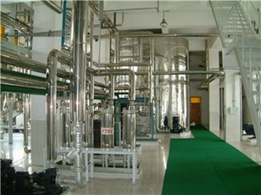 high oil output peanut oil production line in Egypt