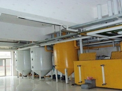 10-300tpd groundnut sunflower oil production line plant in Netherlands