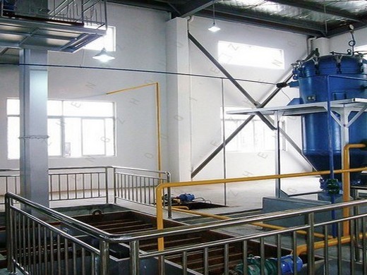 1-3tpd oilseeds oil extraction line in Moldova