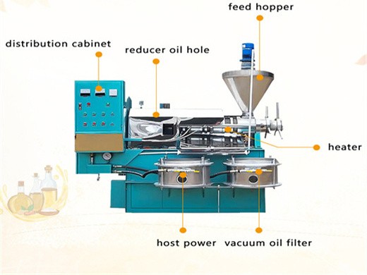 cold press oil machine sesame oil press machine/oil press