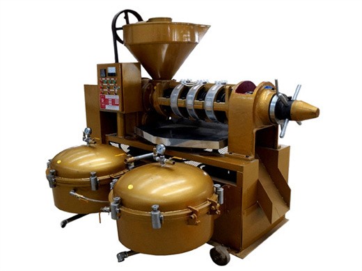 gambia cheap crude pumpkin oil processing machine in Somalia