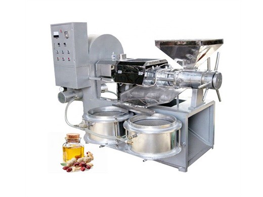 automatic soybean oil press walnut oil press machine in Turkey