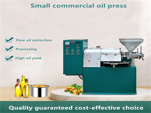 2020 latest technology peanut oil pressing machine/production