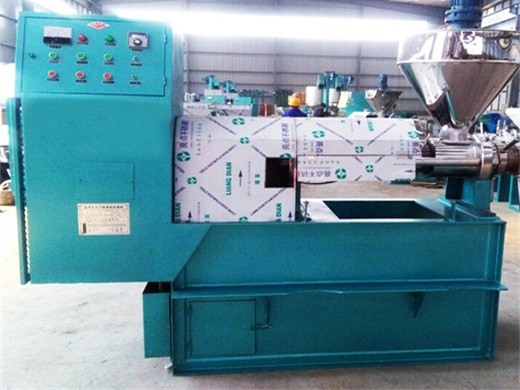 screw oil press machine for sunflower oil machine peanut oil