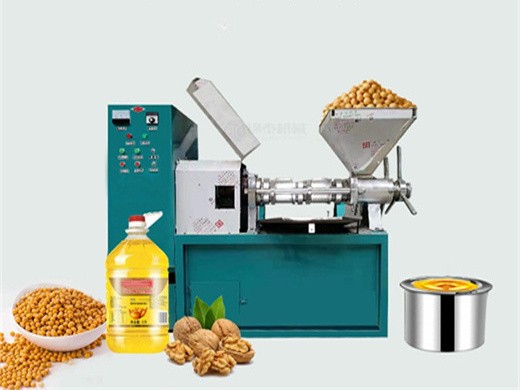 safflower seed oil press machine automatic oil press machine