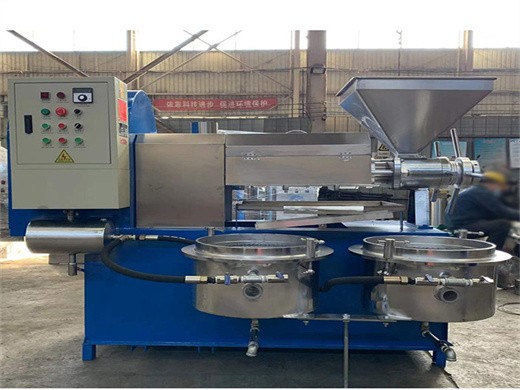 6yz-260 cold pressed flaxseed oil press machine in Uzbekistan