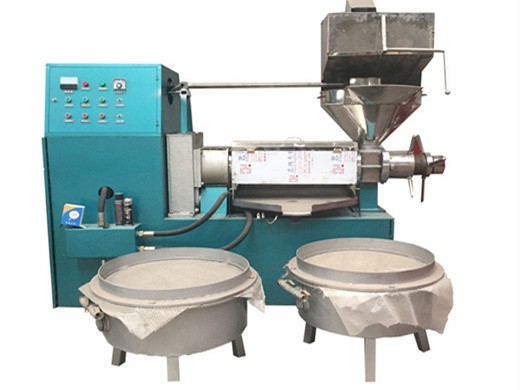 6yl-100a cold press oil machine with vacuum in sri lanka