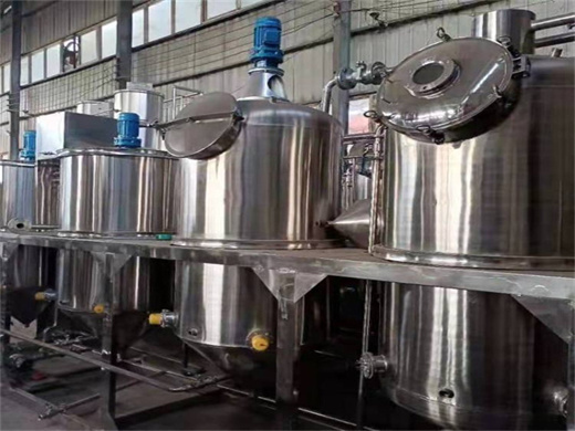 palm crude oil refinery refining equipment in ethiopia